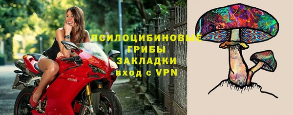 соль ск Аркадак