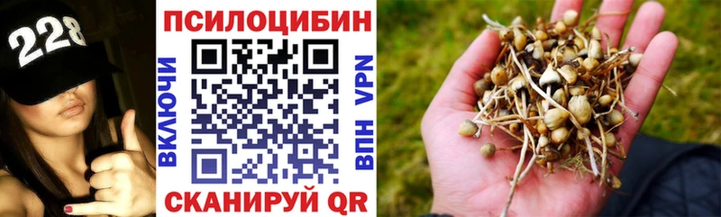 Галлюциногенные грибы мицелий  сайты даркнета официальный сайт  Кубинка  где продают наркотики 